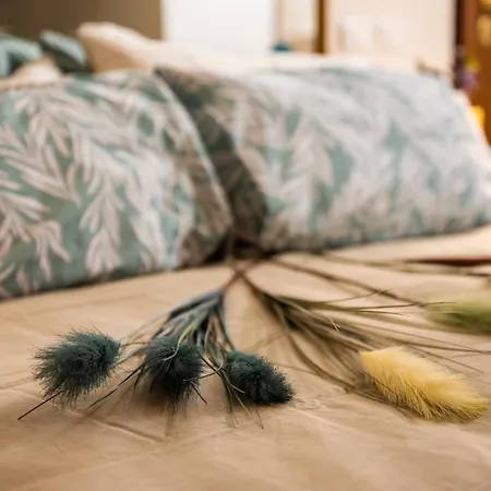 Reggio Center Lovely Reggio Emilia